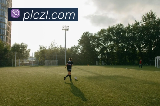 尊龙凯时平台生态图